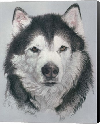 Framed Dog Eleven Print