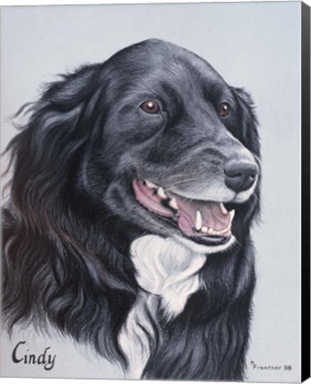 Framed Dog  Fourteen Print