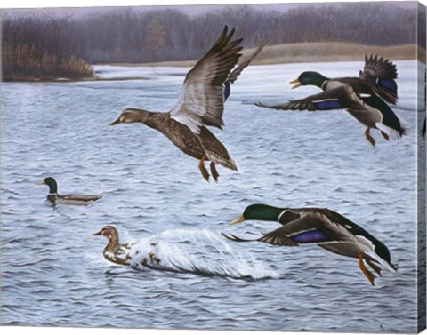 Framed Spring Arrivals Print