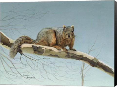 Framed Are You Nuts Print