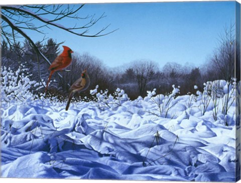 Framed After The Storm Print