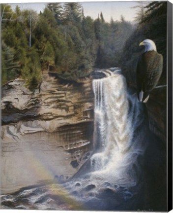 Framed Miners Falls Print