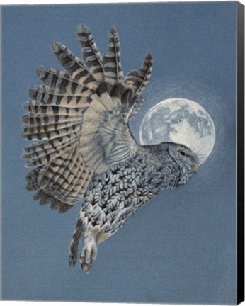 Framed Night Flyer Print