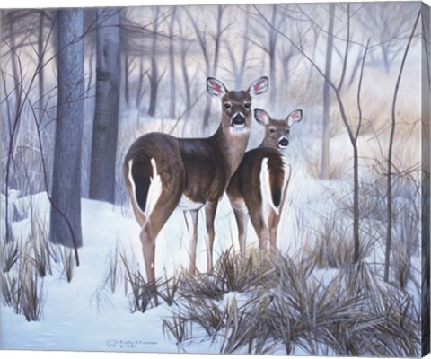 Framed Hindsight Print