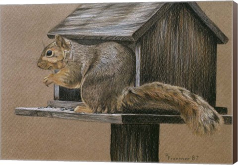 Framed Burglar Print