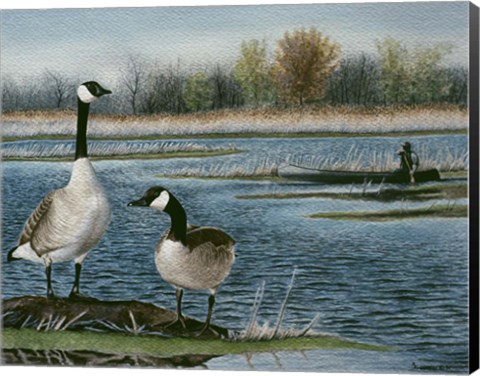 Framed Gander Study Print