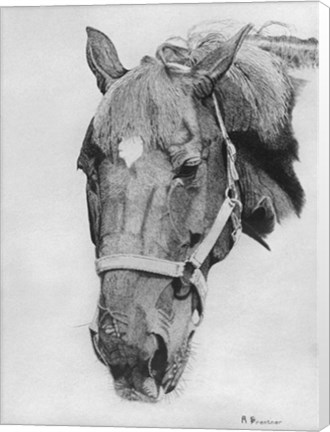 Framed Big Red Print