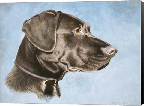 Framed Chocolate Lab Print