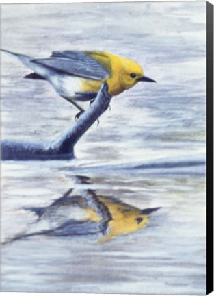 Framed Reflection 2 Print