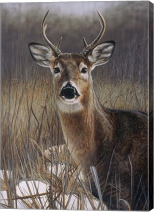 Framed On Guard Print