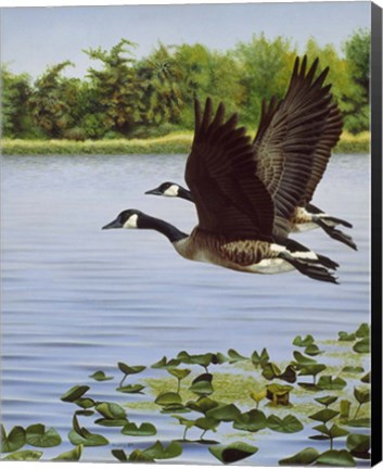 Framed South Bound Journey Print