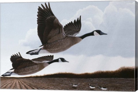 Framed Heavenly Bound Print