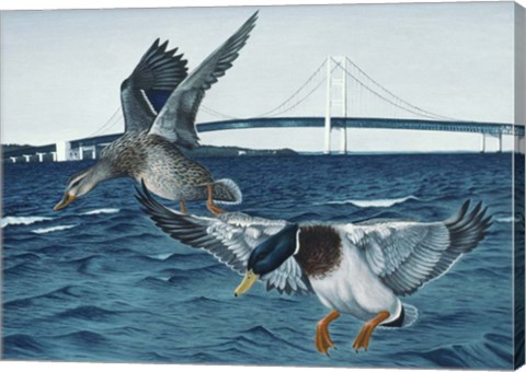 Framed Mackinac Mallards Print
