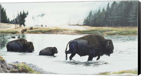 Framed Spirit Of Yellowstone Print