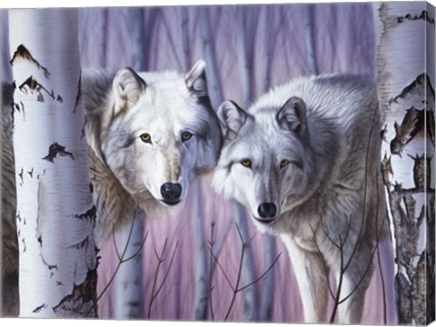 Framed White Wolves By Birch Print