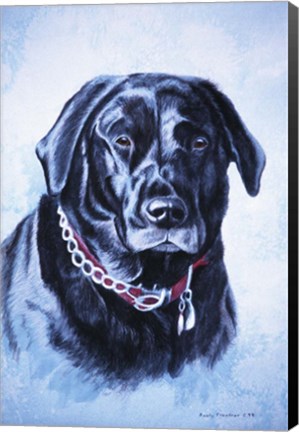 Framed Black Lab Print