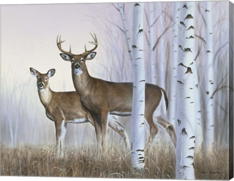 Framed Deer In Birch Woods Print