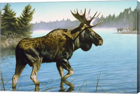 Framed Twig Eater Print