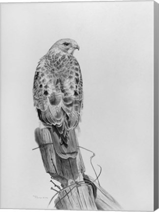 Framed Lookout Print