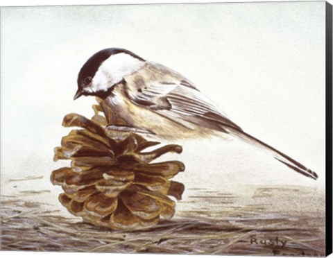 Framed Black - Capped Chickadee Print