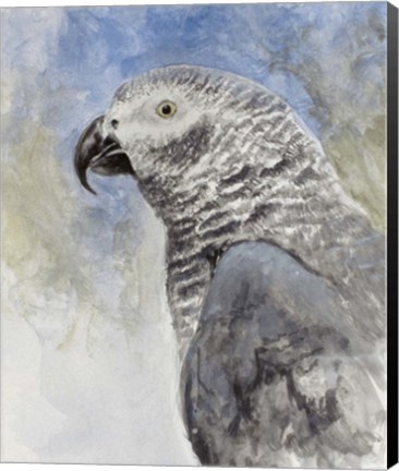 Framed Bird - Head Study Print