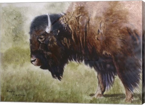 Framed Buffalo Print