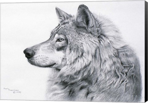 Framed Lanus Lupis Print