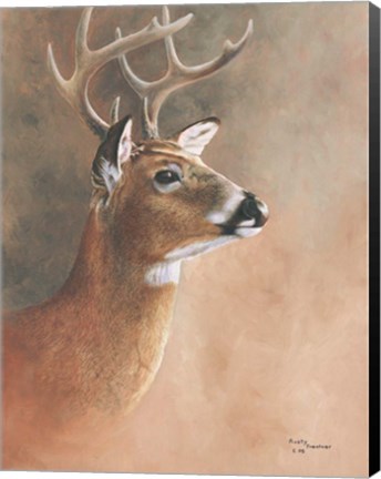 Framed Deer Close-Up Print