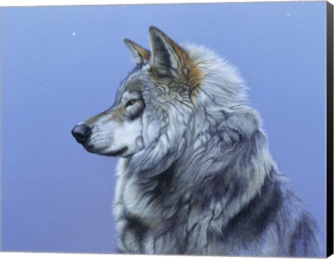 Framed Northern Star Print