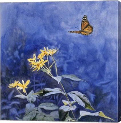 Framed Monarch Butterfly Print