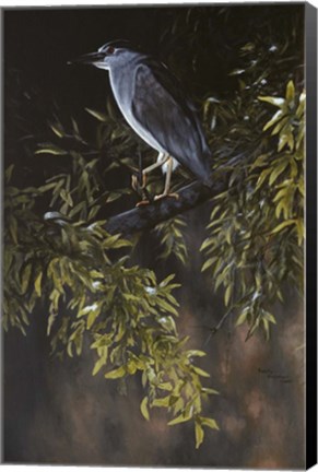 Framed Big Bird Print