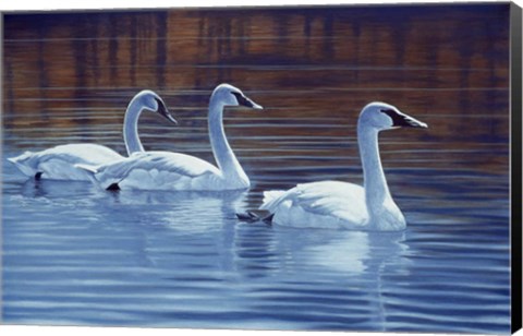 Framed Sea Of Tranquility Print