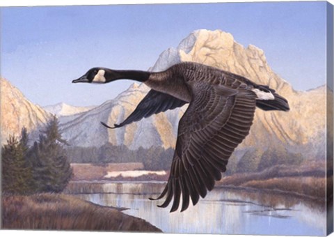 Framed Goose Mtn Print