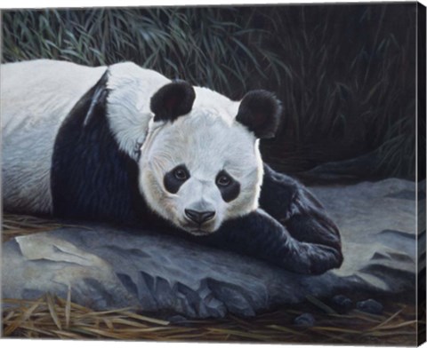 Framed Panda Print
