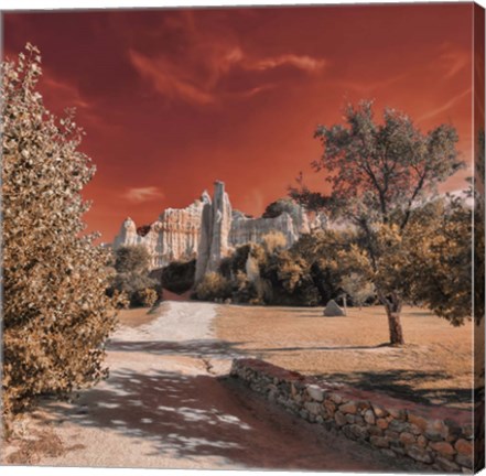 Framed IRadiation Print