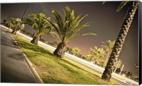 Framed Summer Night Print