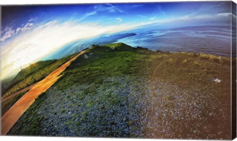 Framed Cap Bear Print