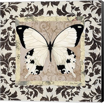 Framed Heirloom Butterfly II Print