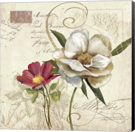 Framed Fleurs De Paris 2 Print