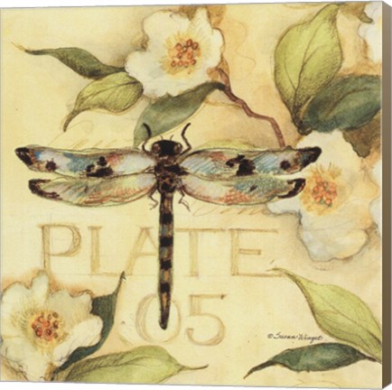 Framed Morning Song 17 Print