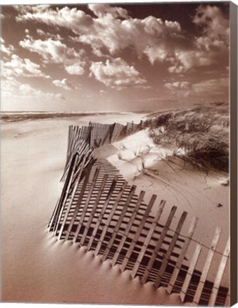 Framed Klug Beach Fence Print