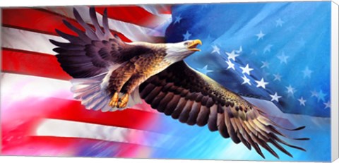 Framed American Eagle Flag Print