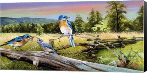 Framed Bluebird Meadow Print