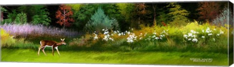 Framed Doe In Spring Glade Print