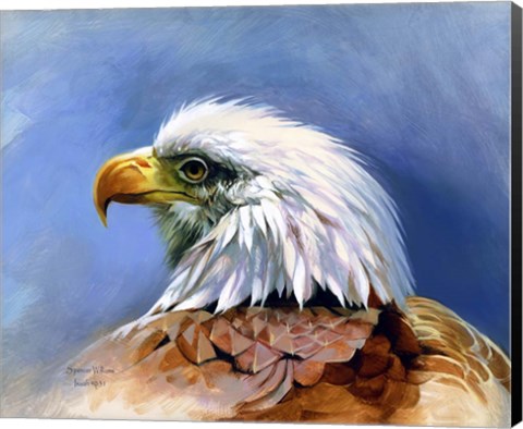 Framed Eagle Portrait Print