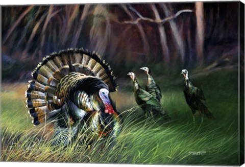 Framed Frost Turkey Print