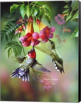 Framed Summer Hummer Print