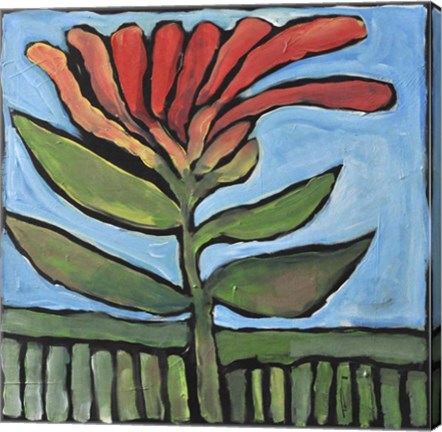 Framed Flower Print