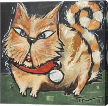 Framed Square Cat Print