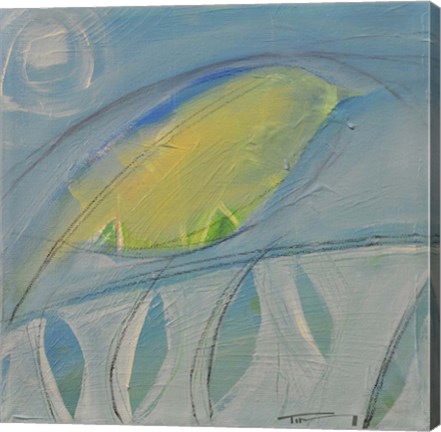 Framed Carribean Bird Print